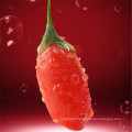 Premium quality Wild Organic organic certification fruit berries goji Black Chinese berries price